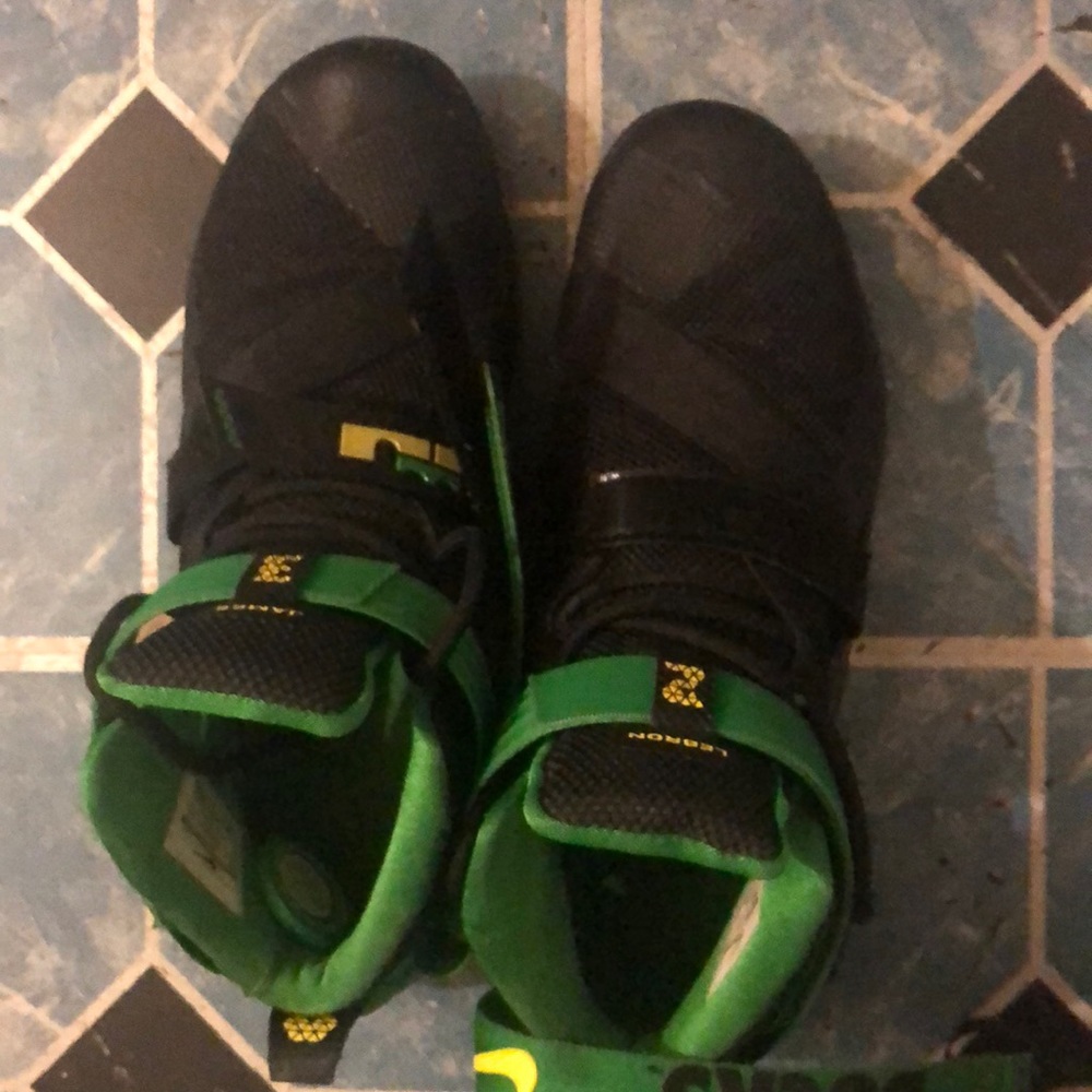 Lebron Nike Oregon ducks